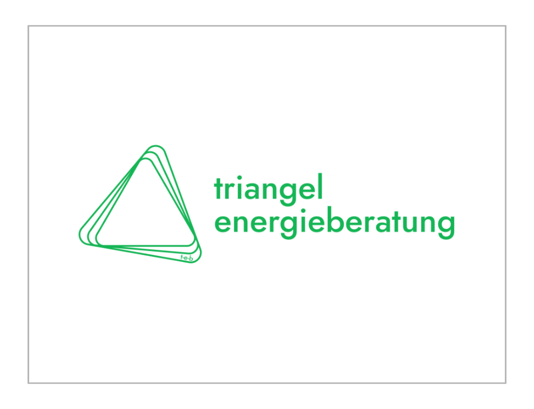 Stefan Bertels, TEMSIS GmbH